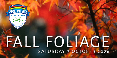 Fall Foliage