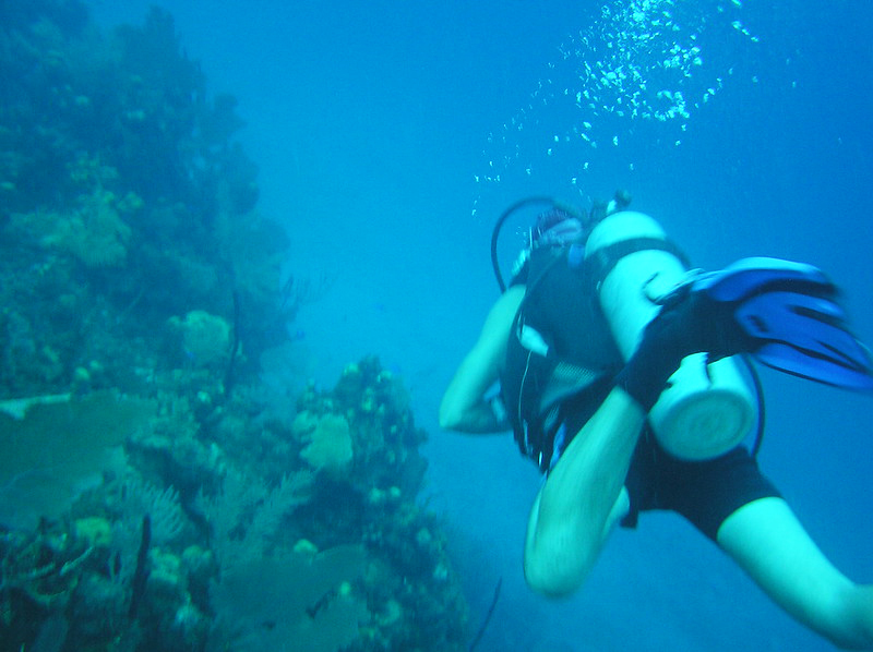 ScubaHonduras.jpg