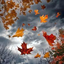 autumn.jpg