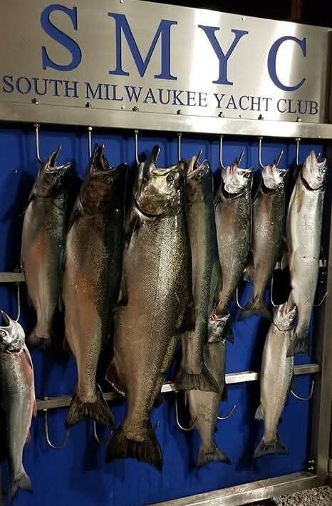 Fish.jpg