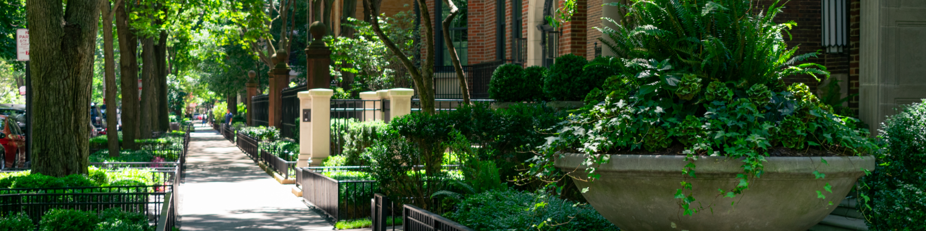 Picture of neighborhood block