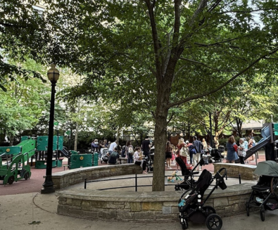 View of the Park