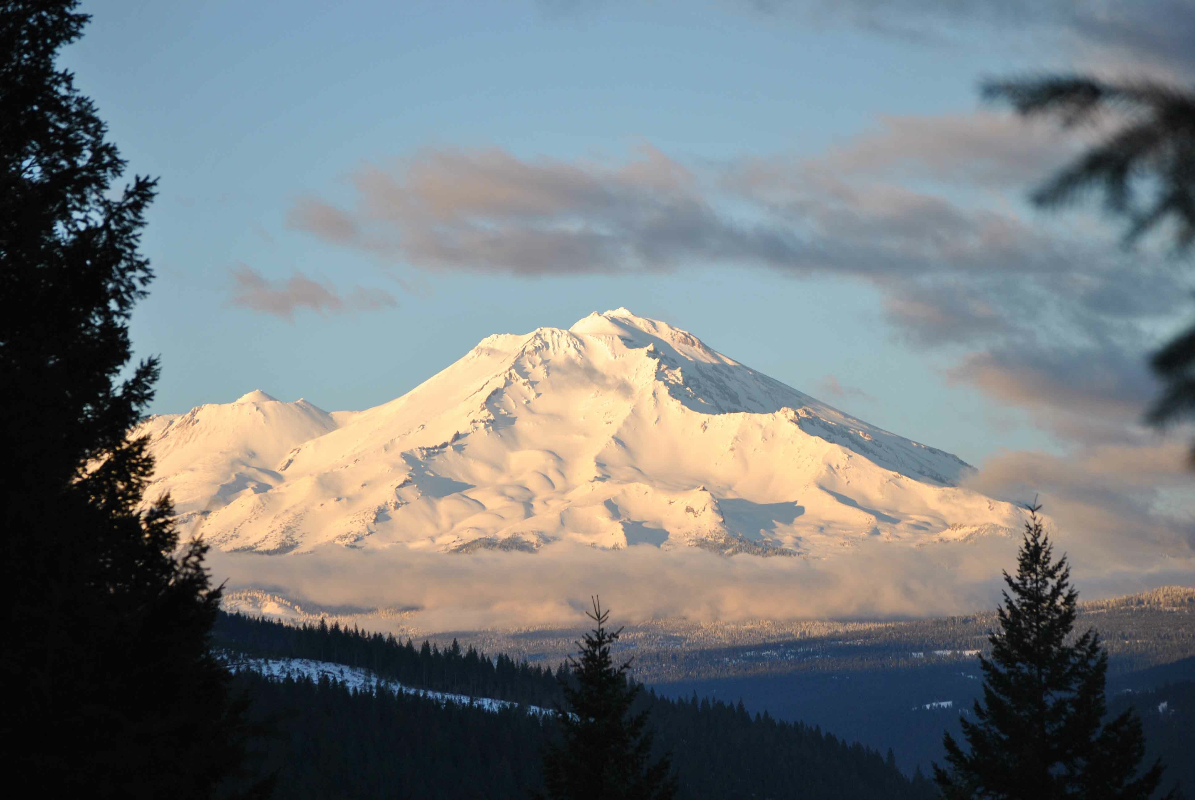 DSC_0039.jpg