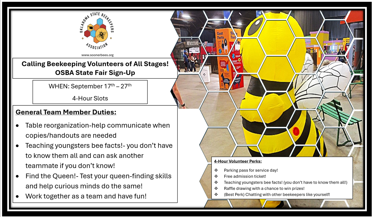 OSBA_2026_Volunteer_Pic.png