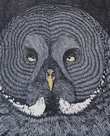 owl by Amy Grogan