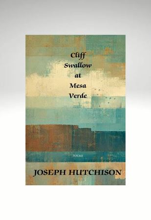 Cliff Swallow at Mesa Verde