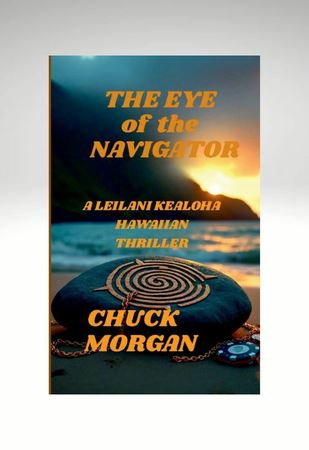 The Eye of the Navigator