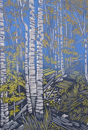 Aspens by Amy Grogan