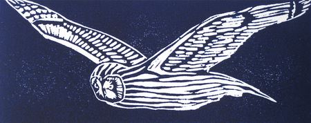flying owl by Amy Grogan