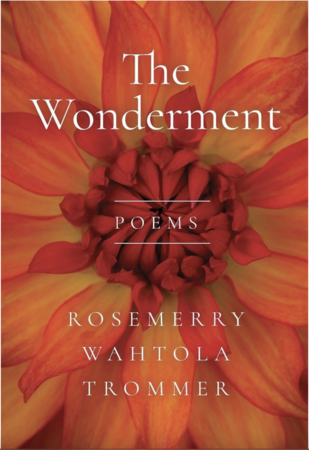 The Wonderment