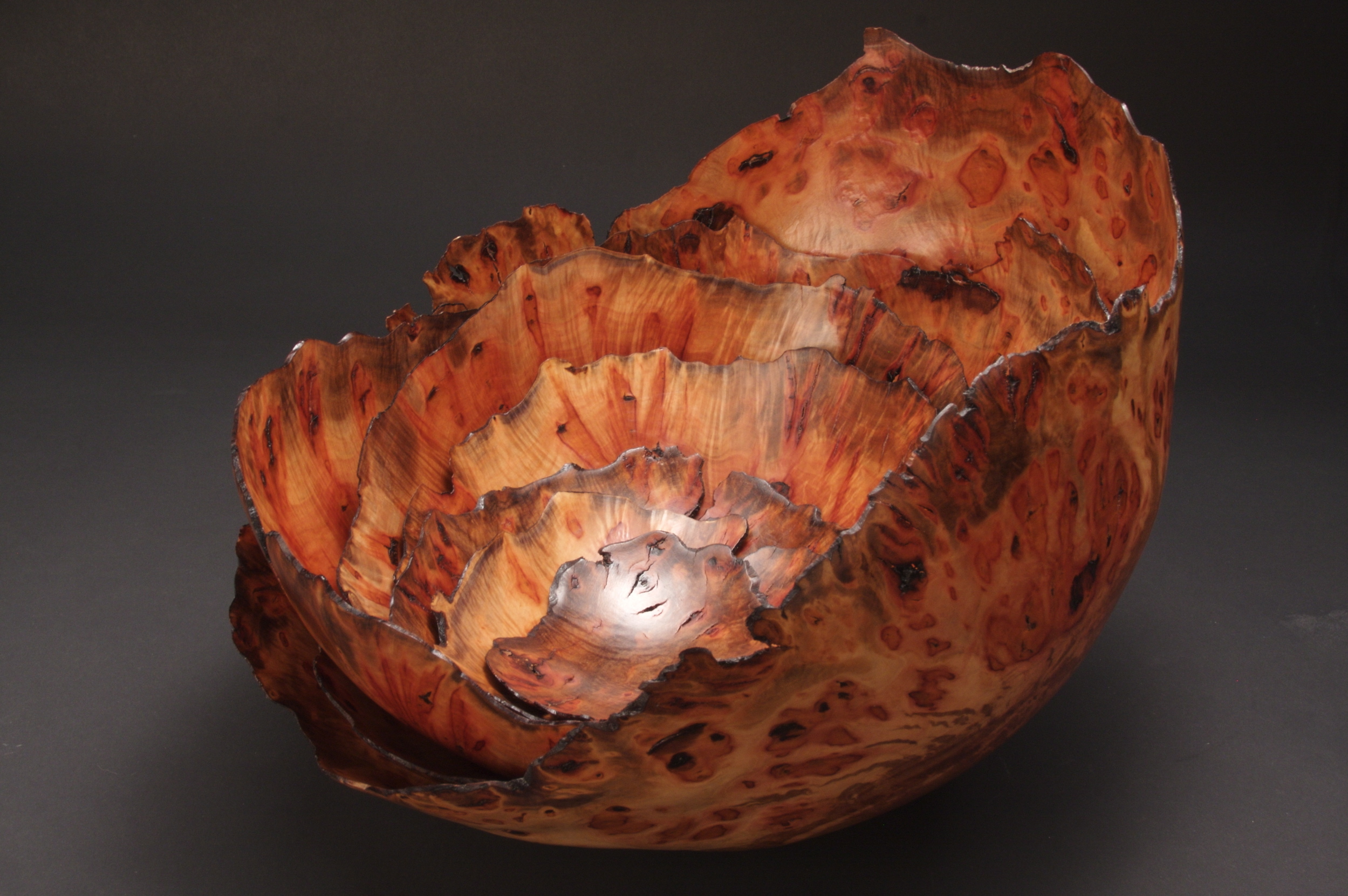 madrone.jpg