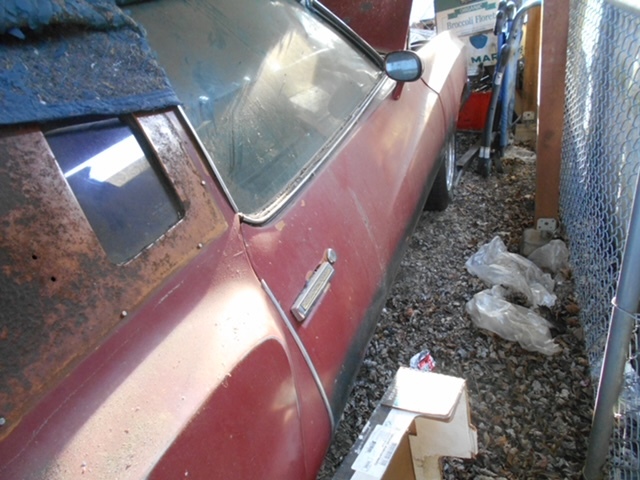 8P.JPEG