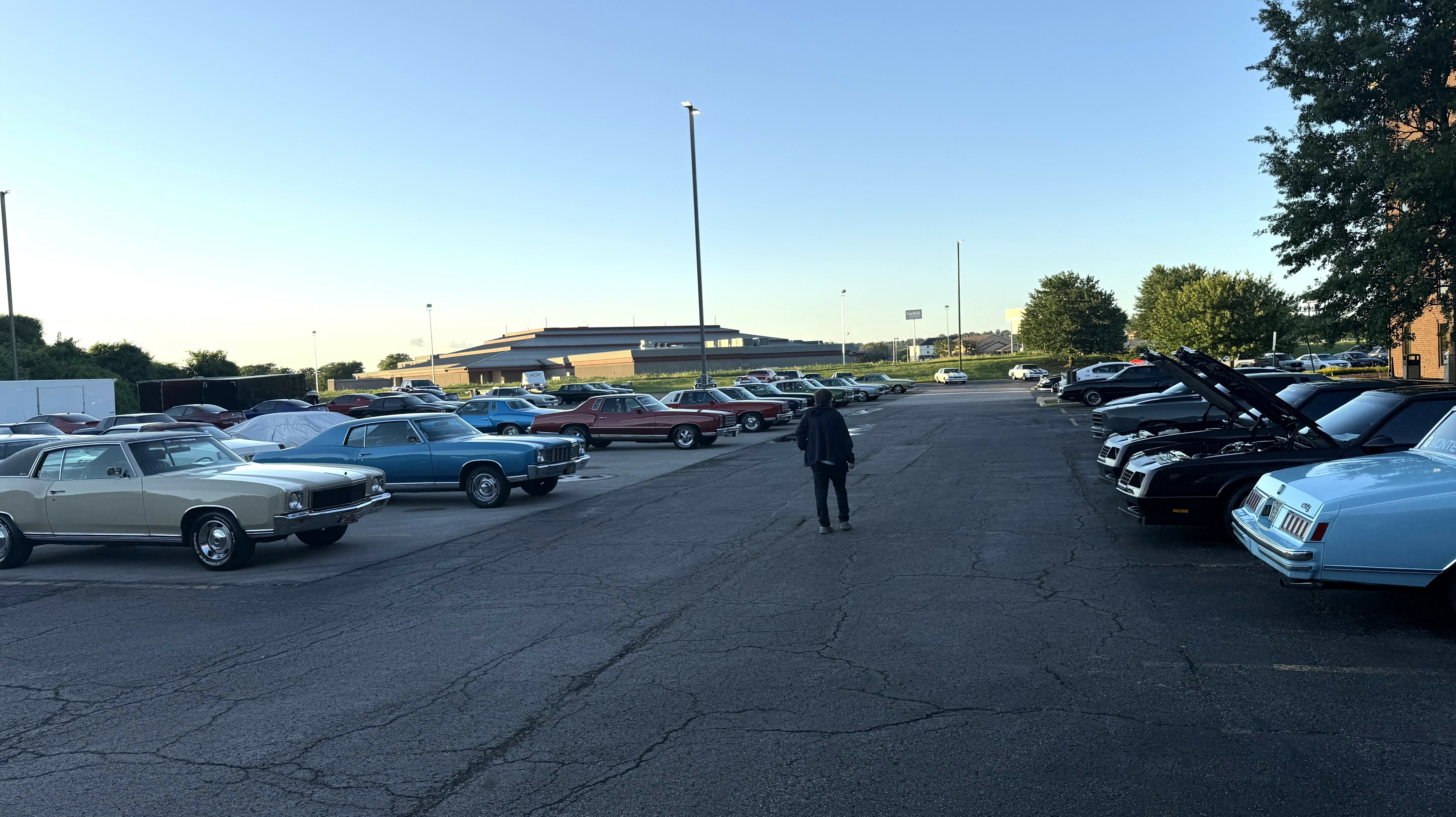 Show_Field_-_Day_2.jpeg