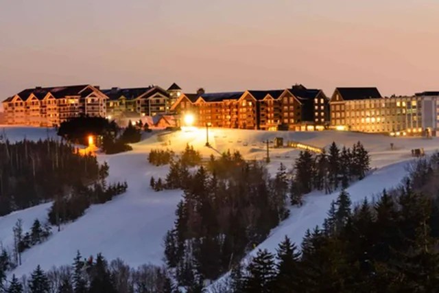 Snowshoe