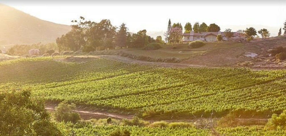Artefact Winery