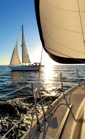 560153847 1382280153341827 3261919733924586159 n