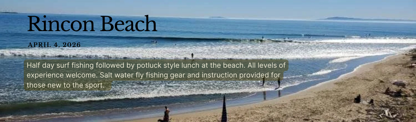 Rincon_Beach_Strip.png
