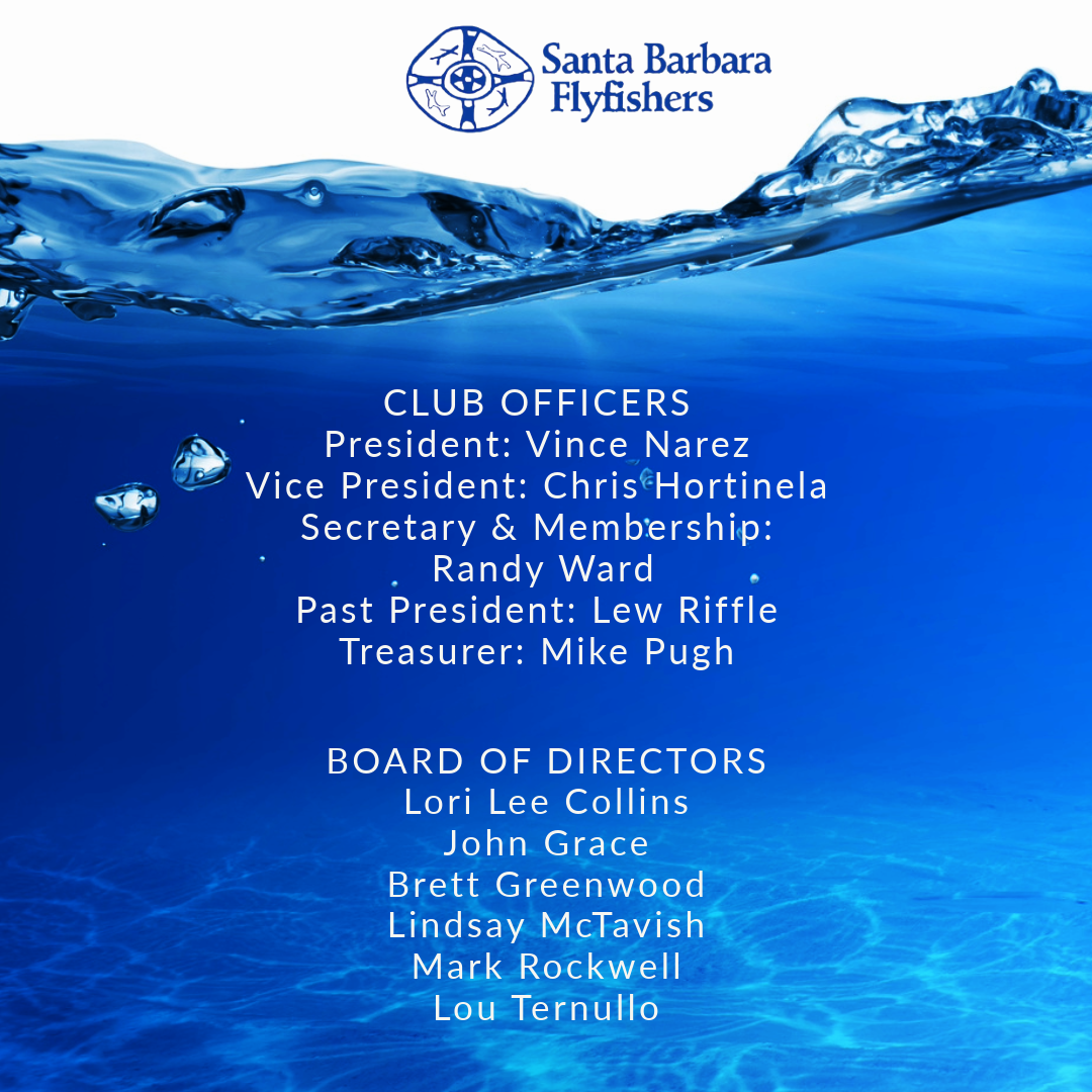 SBF_BOD-May_2026.png