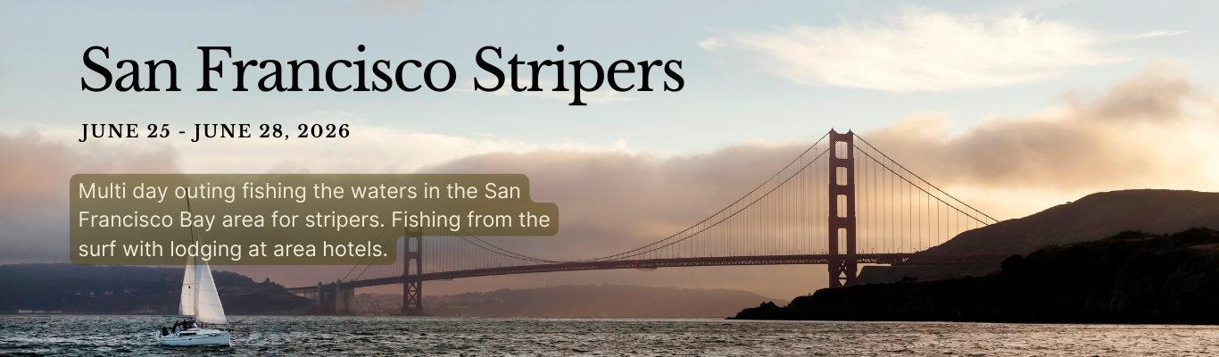 SF_Stripers_Strip.png