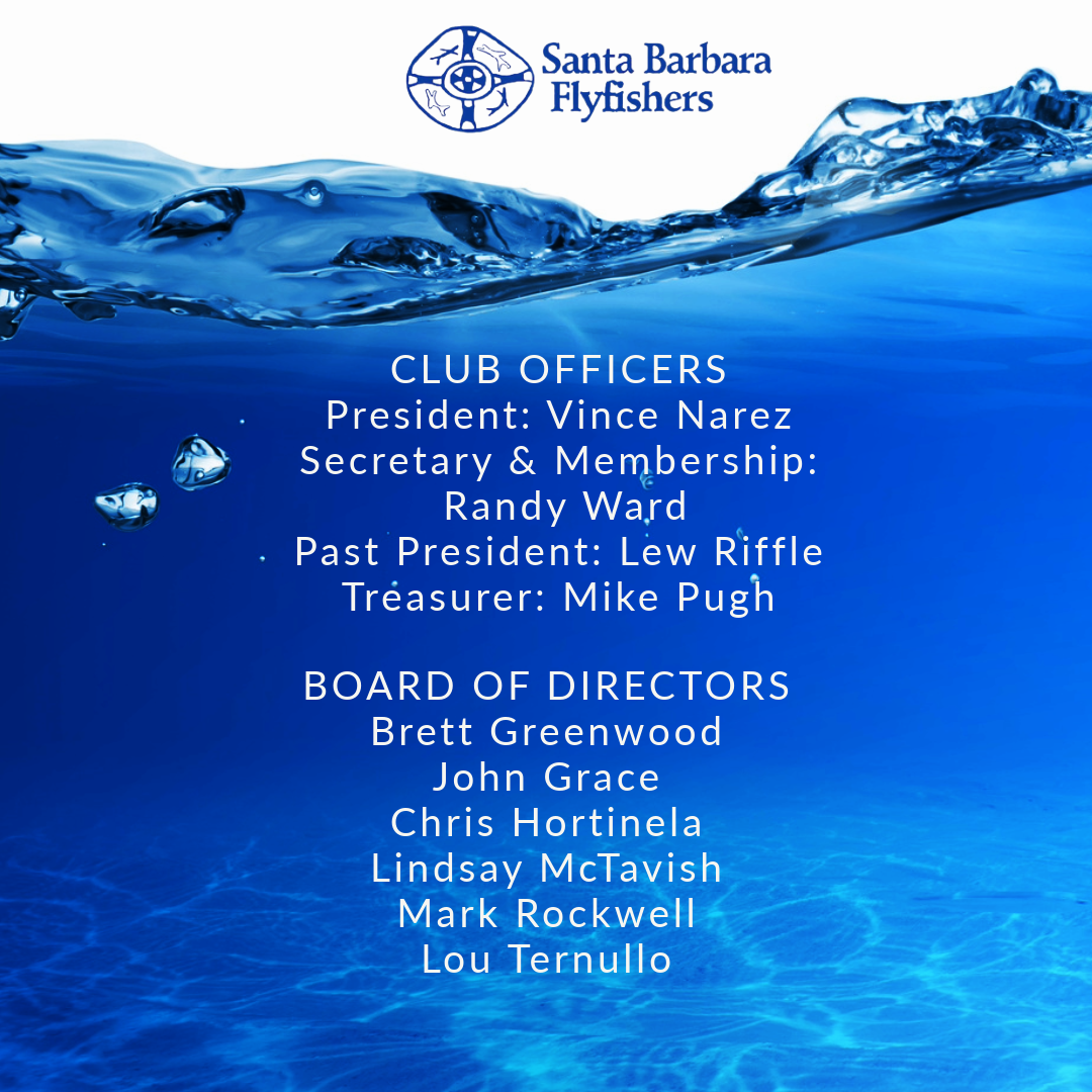 sbff_board_of_directors_2026-A_.png