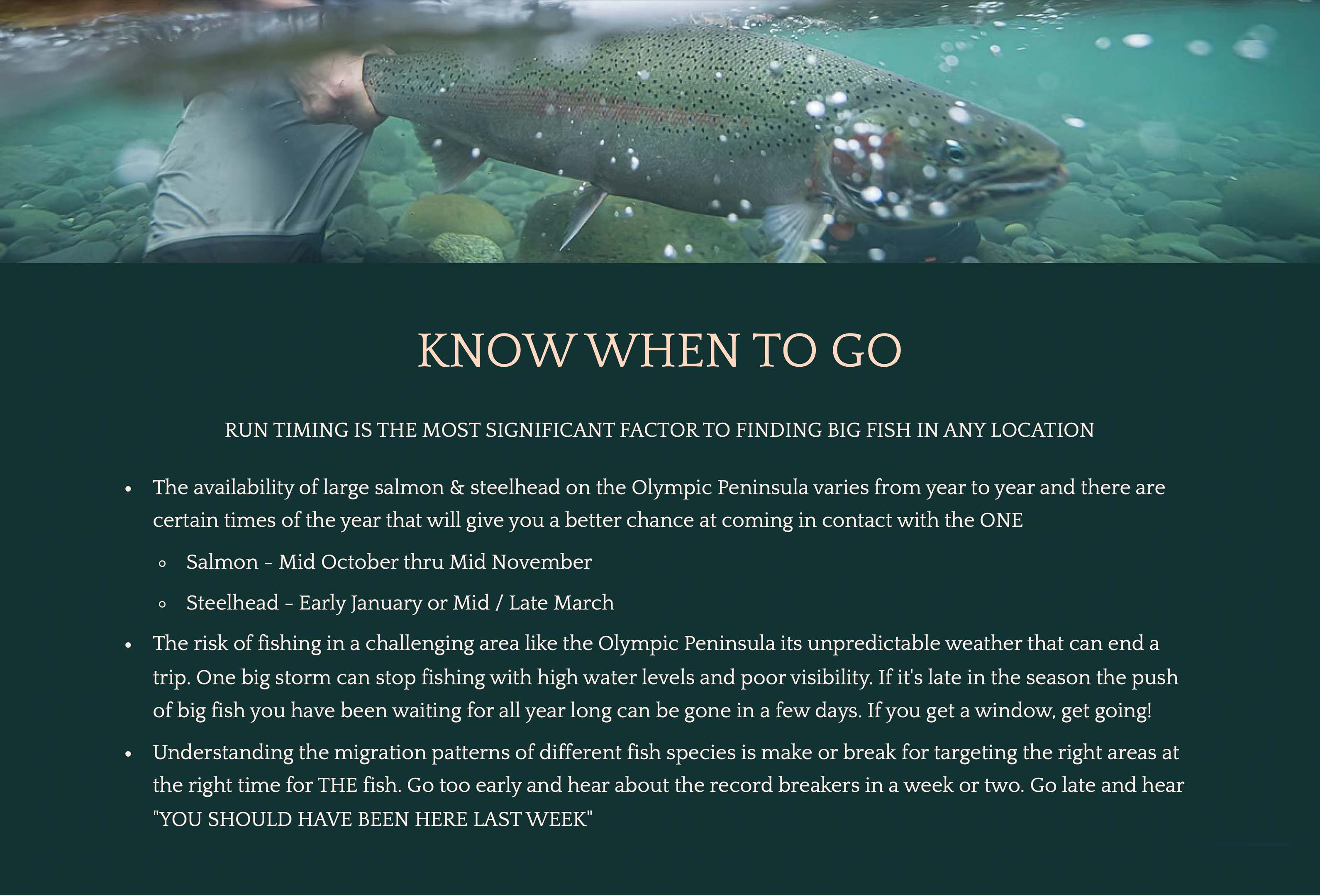 Lael Johnson - RISK-vs-REWARD 6-2