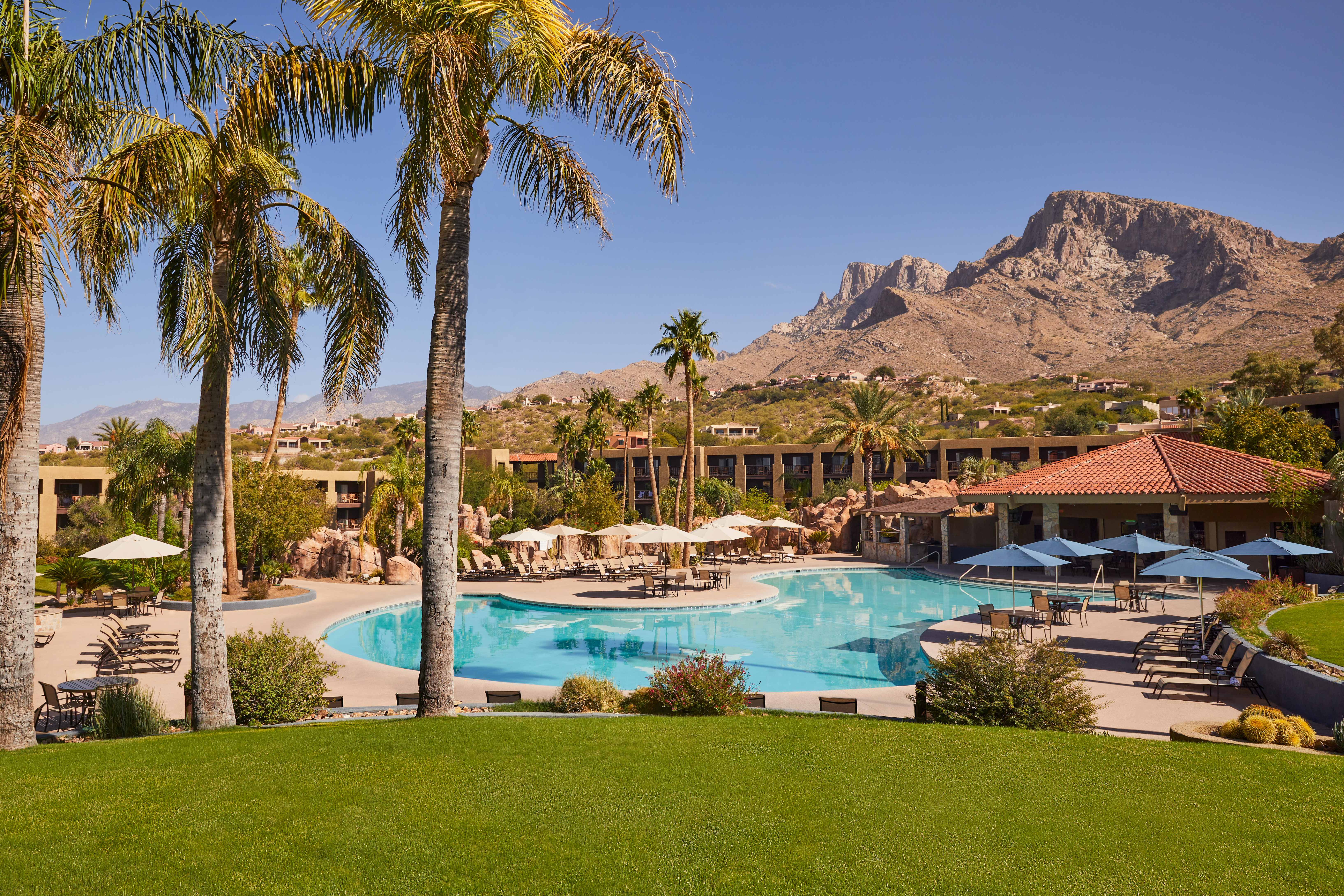 El_Conquistador_Tucson_-_Main_Pool_3.jpg