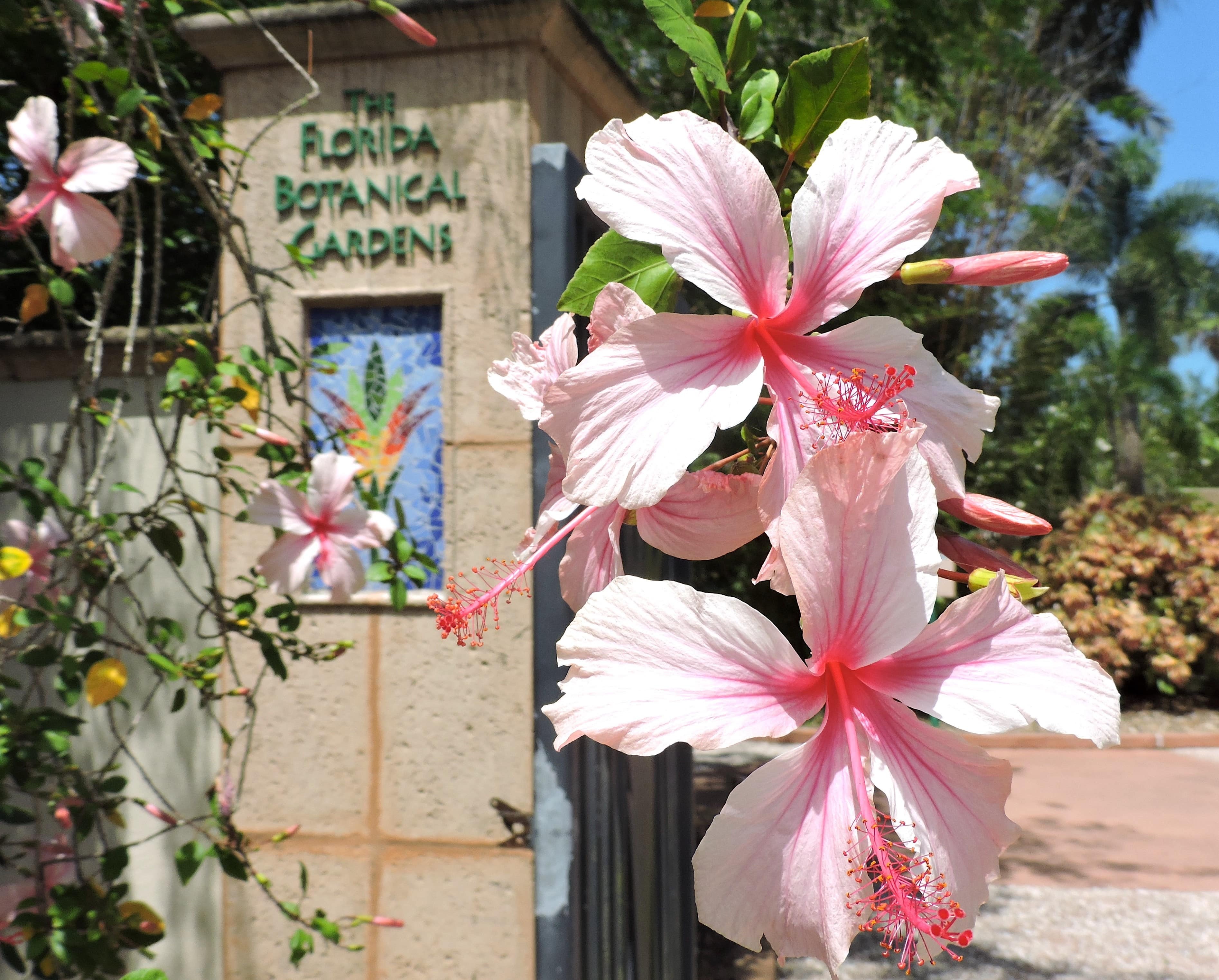 Florida Botanical Gardens Foundation