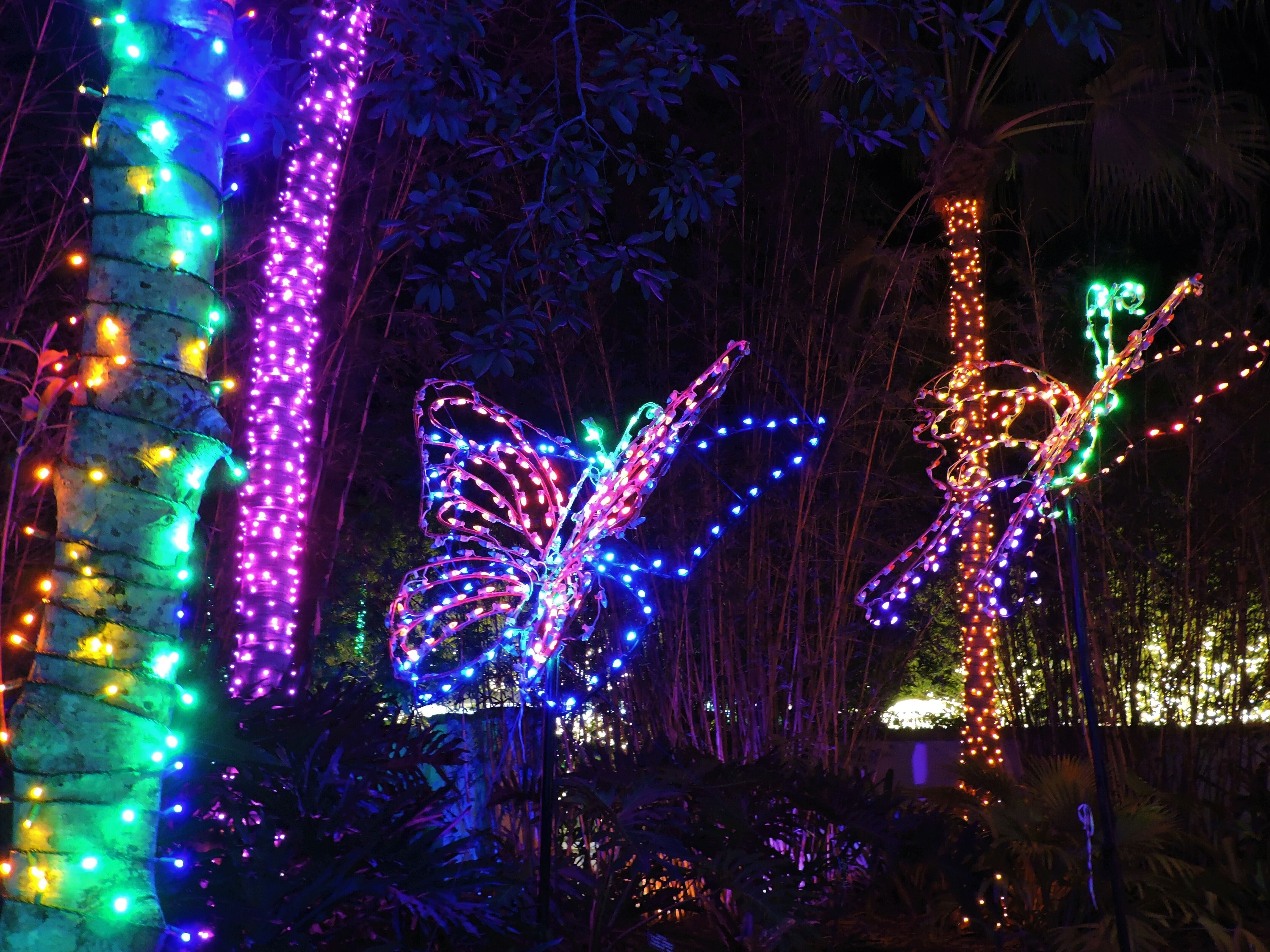 Holiday Lights in the Gardens 