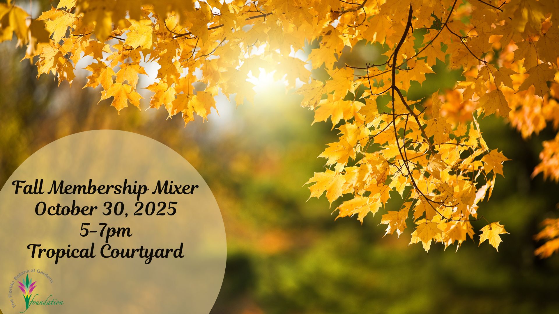 Fall Member Mixer