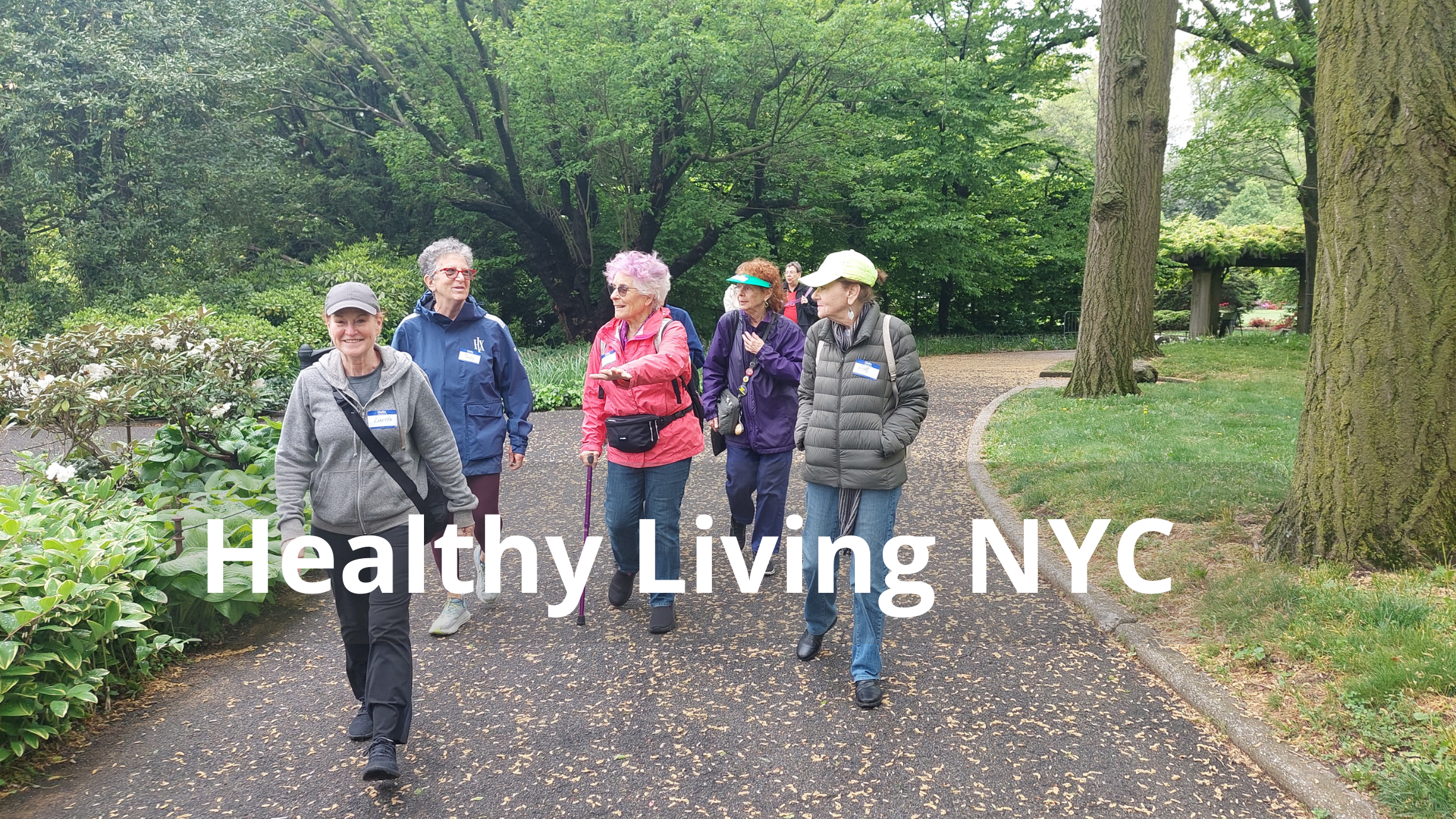 Several women enjoy a walk in a leafy green park in New York City with Women’s Connection, an organi