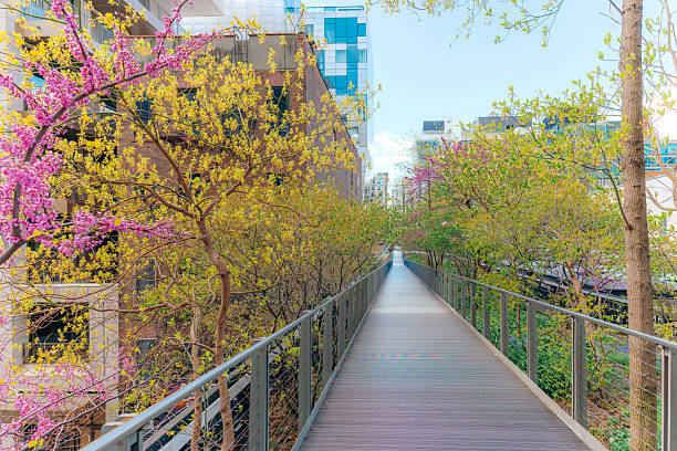 High_Line_Sring_Flowers.jpg High_Line_Sring_Flowers.jpg