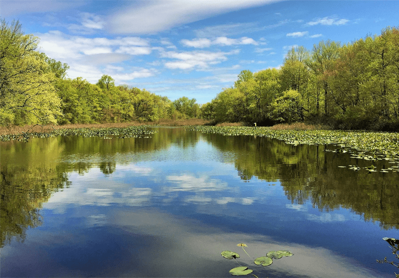 Tenafly Nature Center 1