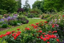 ScottArboretum062426H