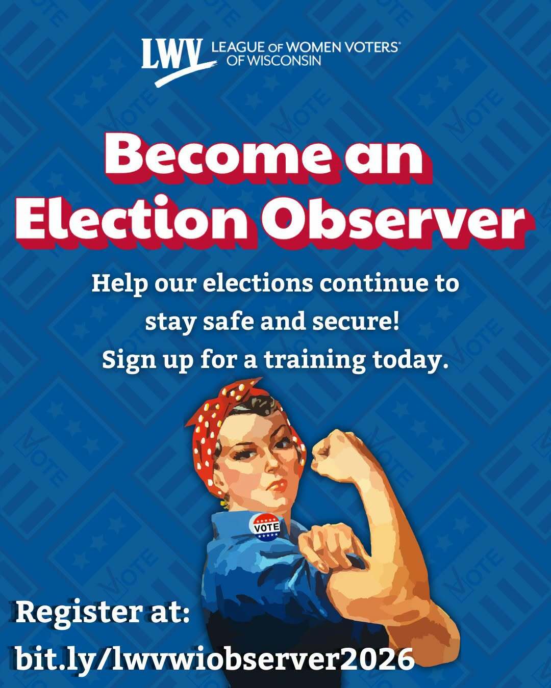 Election Observer 2