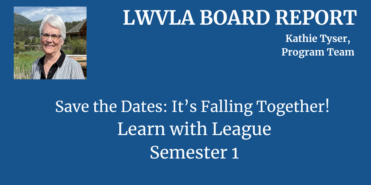 News Update Board report