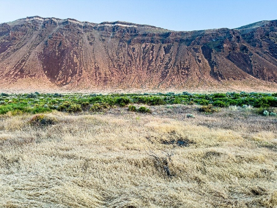 Back of Beyond February 2026 Picture 2