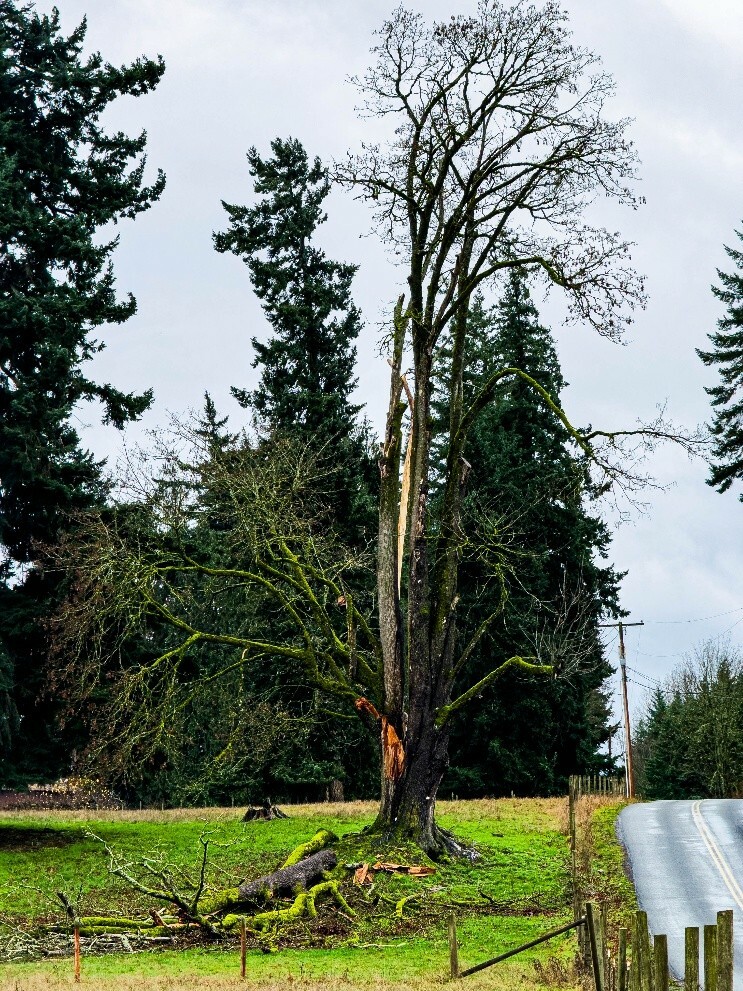 January 2026 Image 1