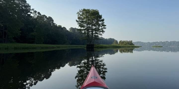 image003