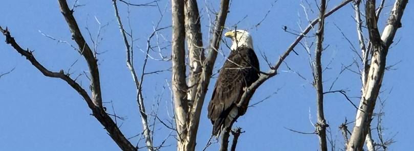 image015