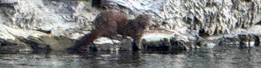 image017