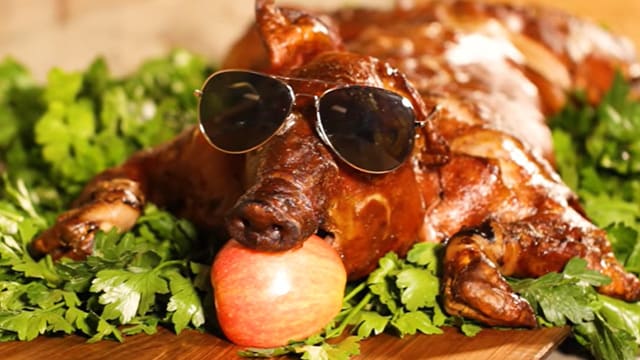 Luau whole pig roasting