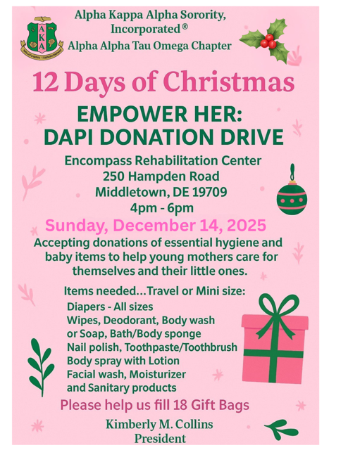 12 Days of Christmas DAPI