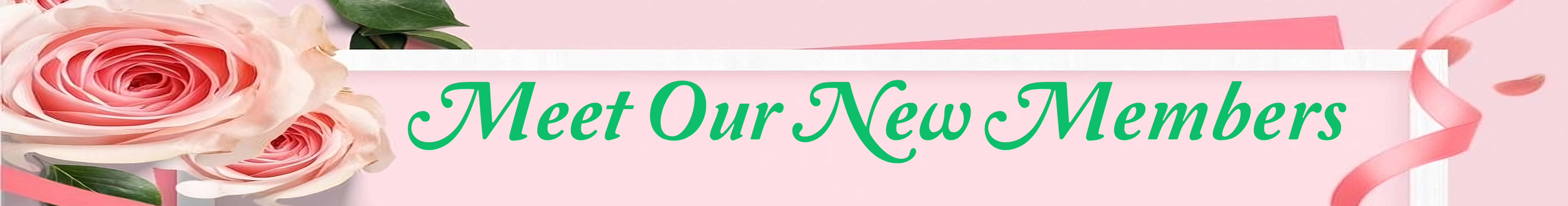 Meet_our_new_Members_banner_2_.jpg