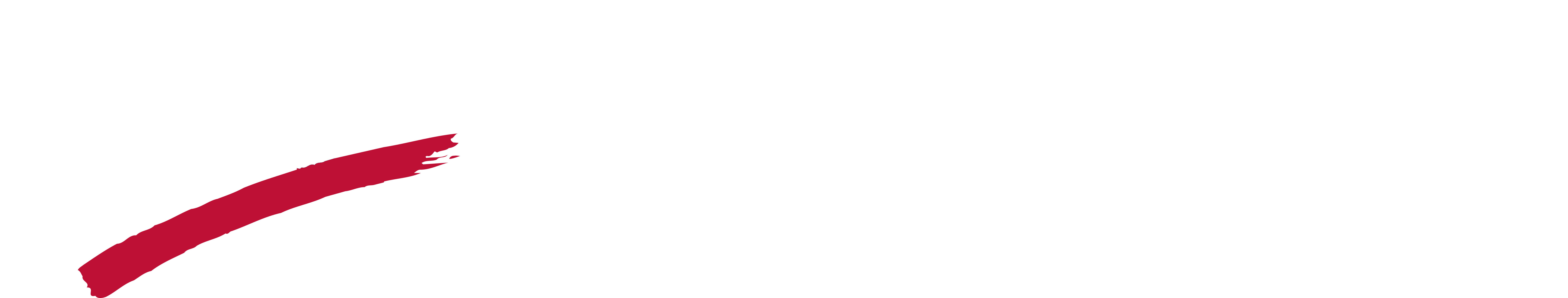 LWVWayneCountyIN_rgb-WHITE.png