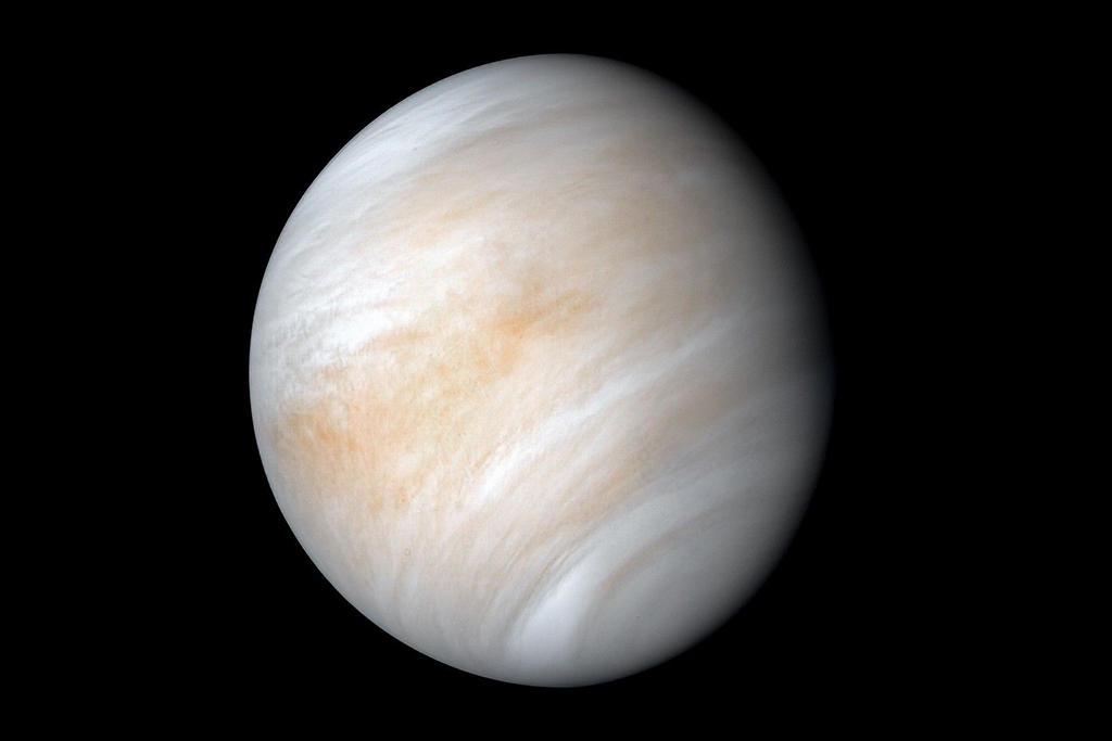 Venus_Photo.png