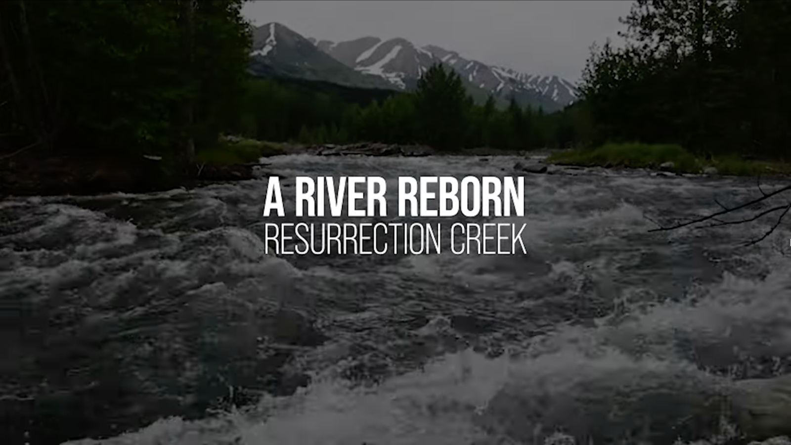https://www.fs.usda.gov/about-agency/features/resurrection-creek-river-reborn