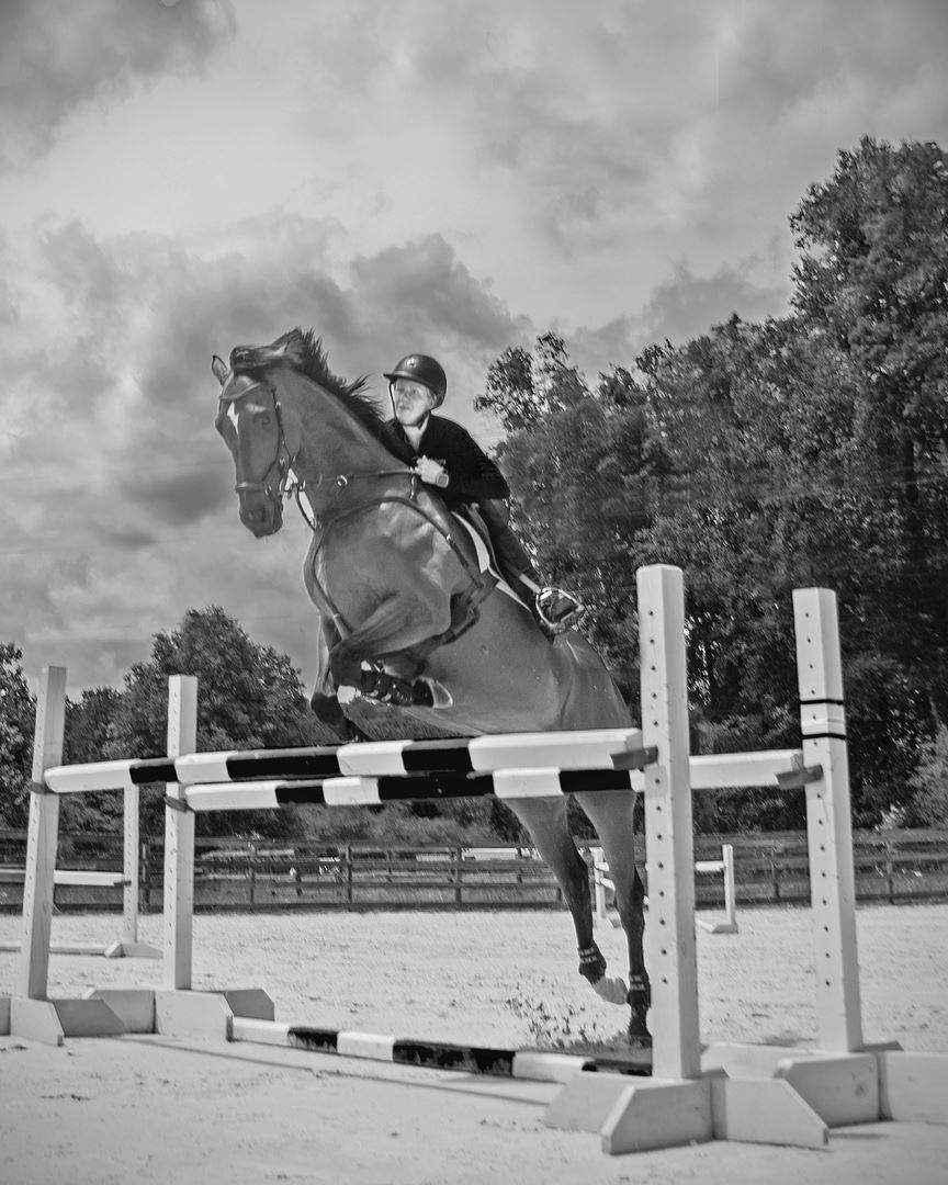 Tally Ho