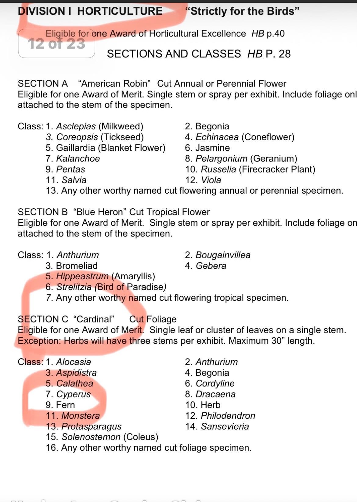 Sections and Classes