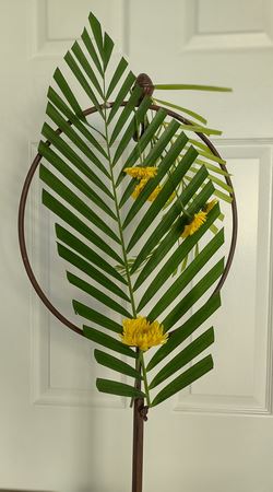 Transparency Design 2