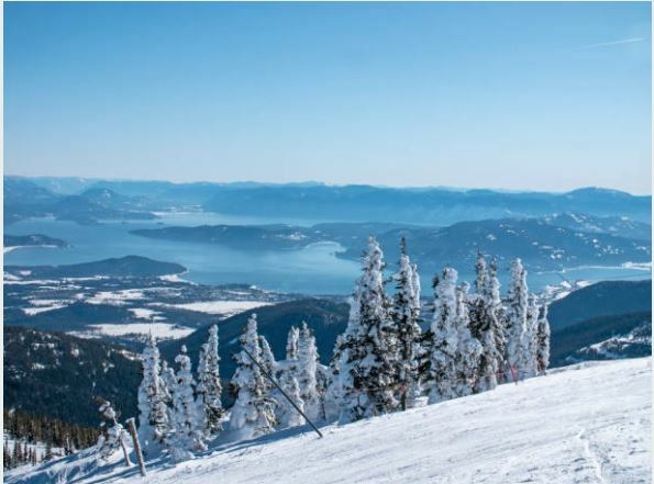 Schweitzer1